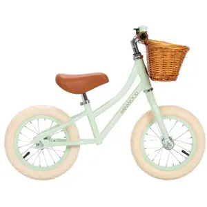 Comparateur de prix : Banwood Draisienne First Go vert mint