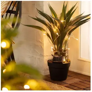 Comparateur de prix : TECHBREY Guirlande led Extérieure Solaire Lilac 2m Blanc chaud 3000K