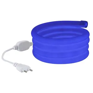 Ledkia Néon LED Flexible 360º Dimmable - BleueVendu parrakuten