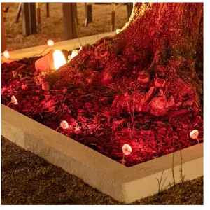 Comparateur de prix : LEDKIA Lumière Extérieur Led Rgbw 5w Wifi Gardenspot Rgbw