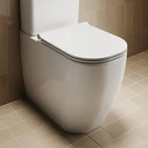 Roca Solana WC au sol, A342000S00, pas cher