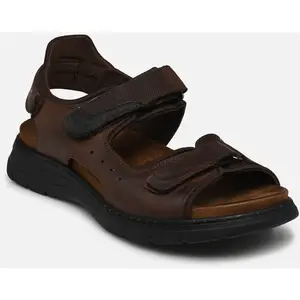KAIRO F1773 par Fluchos Marron 46 Homme pas cher