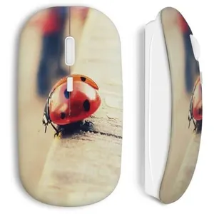 Souris Sans Fil Coccinelle (Maniacase) pas cher