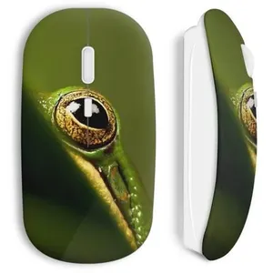 Souris sans fil Grenouille oeil (Maniacase) pas cher