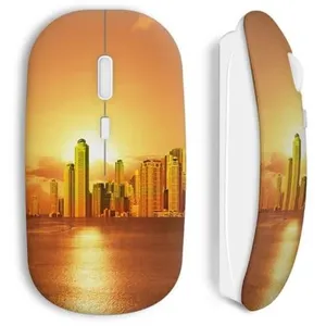 Souris Sans Fil Golden city (Maniacase) pas cher