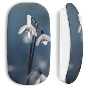 Souris Sans Fil Fleurs de neige (Maniacase) pas cher