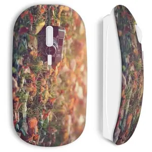 Souris Sans Fil Appareil photo vintage (Maniacase) pas cher
