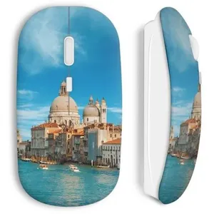 Souris sans Fil Soak city (Maniacase) pas cher