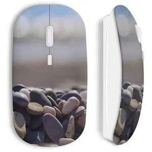 Souris Sans Fil Galets (Maniacase) pas cher