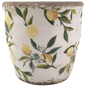 Pot à citron décoratif pour jardin et terrasse pas cher
