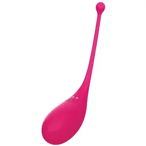 Comparateur de prix : Adrien Lastic Palpitation Huevo Vibrador con App 1ud