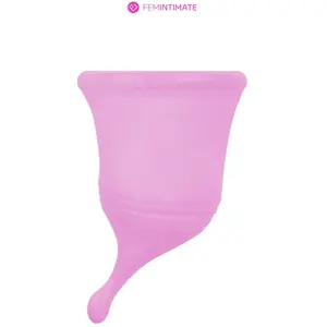 Comparateur de prix : Femintimate Cup menstruelle Eve taille L