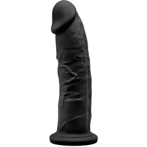 Comparateur de prix : Gode Ventouse SilexD 19 cm Model 2 Noir