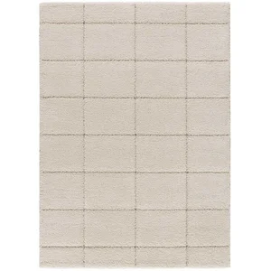 MOMA Tapis intérieur 80x150 cm blanc rectangulaire molier shaggy MOLIER pas cher