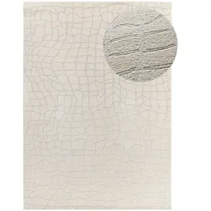 Atticgo Tapis moderne avec relief intérieur argent, 160 x 230 cm BARESA pas cher