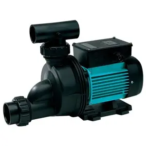 Pompe de filtration SPA/petite piscine Espa Modèle tiper 2 125M