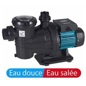 Espa - pompe à filtration 19m3/h triphasé - silver 22t TUVendu parcdiscount