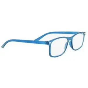 Loring Lunettes Lecture Sea +2.00 1ut