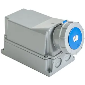 Socle De Prise 125a Monophasé 2p+t - étanche Ip67 IDE