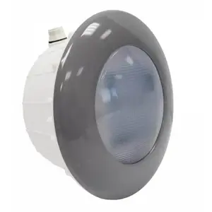 Projecteur LED gris 1,14 pouces pour piscine béton et liner - ASTRALVendu parcdiscount