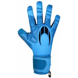 Ho Soccer Gants De Gardien De But Ssg Legend Ergo Gecko pas cher