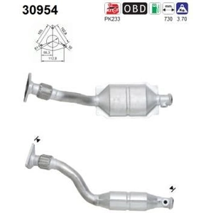AS Catalyseur pour RENAULT: Kangoo, Clio (Ref: 30954) pas cher