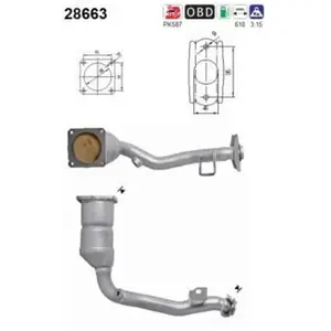 AS Catalyseur pour PEUGEOT: 207, 1007, 207+ & CITROËN: C3 Pluriel (Ref: 28663) pas cher