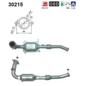 AS Catalyseur pour RENAULT: Kangoo, Clio, Thalia (Ref: 30215) pas cher