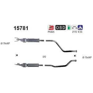 AS Catalyseur pour PEUGEOT: 307 & CITROËN: C4 (Ref: 15781) pas cher