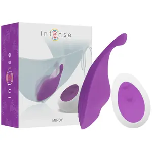 Comparateur de prix : Intense Mindy Pantie Violet Télécommande 2uts