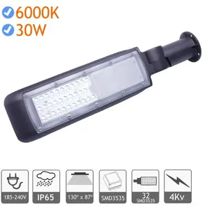 JANDEI Lampadaire led 30W 4kV 6000K extérieur pf 0,95 gris SMD3535 Lampadaire... pas cher
