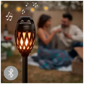 Haut-Parleur Sans Fil avec LED Effet Flamme Spekkle InnovaGoodsVendu paramazon