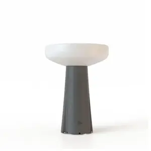 New Garden Lampe d'extérieur led solaire avec détecteur de mouvement h40 grisVendu parrue-du-commerce