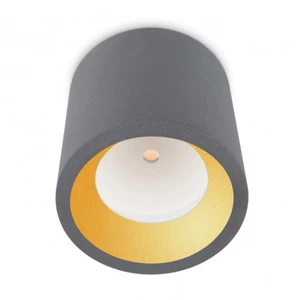 Comparateur de prix : Ledkia - Leds-C4 Cosmos - Plafonnier extérieur à 1 lumière led gris IP65