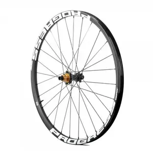 Progress Roue Arrière De Vtt Gpx Nitro2 Boost 29´´ 6b Disc Tubeless 12... pas cher