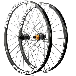 Progress Jeu De Roues Vtt Gp30 29´´ 6b Disc Tubeless 15 x 100/12 x 142... pas cher