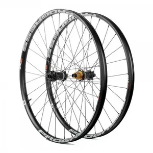 Paire de roues progress evo pro 29     boost 15x110 12x148 mm   6 trou...Vendu parbikeinn