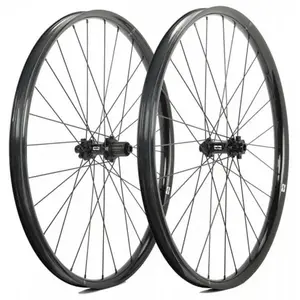 Progress Jeu De Roues Vtt E:race 29´´ Boost Disc Tubeless