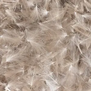 Baetis Plume Cdc Wild pas cher