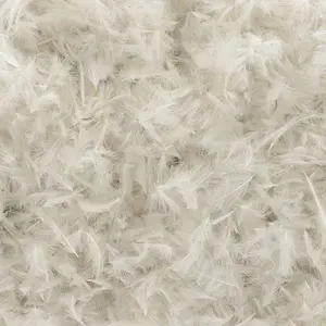 Baetis Plume Cdc pas cher