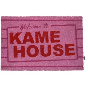 Dragon Ball Paillasson Kame House 40 X 60 Cm Sd Toys Sdtdrb22594 pas cher