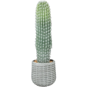 HOMCOM Cactus artificiel 66 cm, plante décorative avec pot pour décora... pas cher