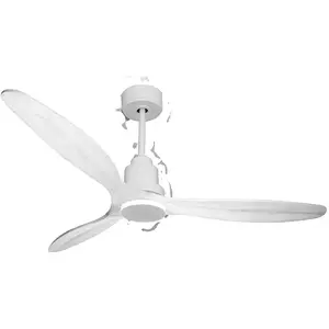 Comparateur de prix : Ventilateur de plafond Wifi Moteur à courant continu Télécommande SalD166C0466707 Blanc