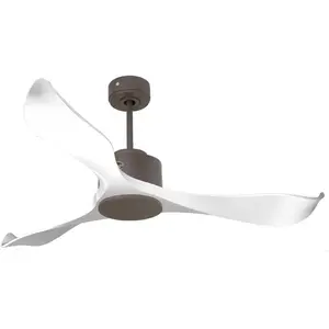 Klassfan Ventilateur de plafond Wifi Moteur à courant continu Télécomm...