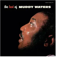 Comparateur de prix : The Best Of Muddy Waters