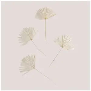 Lot de 4 branches séchées décoratives Urpek SKLUM BlancVendu parrakuten