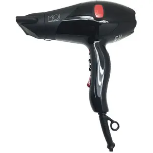 Sèche-linge professionnel Windpro 3800 2000W 1 unité pas cher