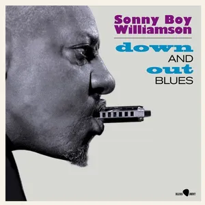 Comparateur de prix : Down And Out Blues + 5 Bonus Tracks