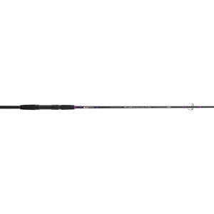 Cinnetic Canne Spinning Sky Line Bass Evolution