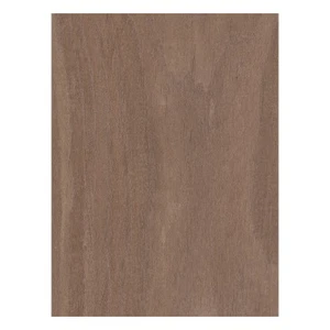 Disarmodel Baguettes de placage en bois pour maquette x 25 : Noyer 0,6...